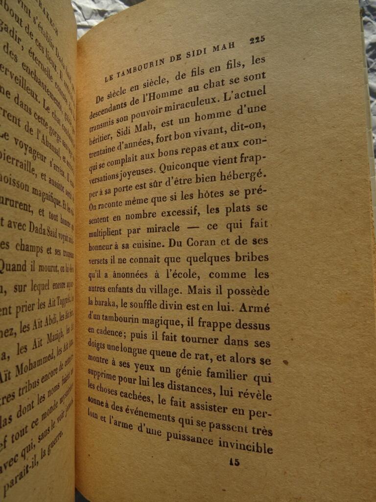 Marrakesch und die Atlasherrscher