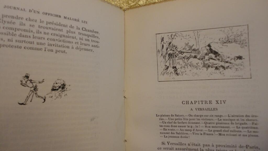 Autobiografisches Journal eines Offiziers