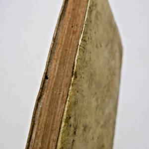 Theologia Supplex Coram Clemente XII Pont. Max: Clementinae Constitutionis 1736