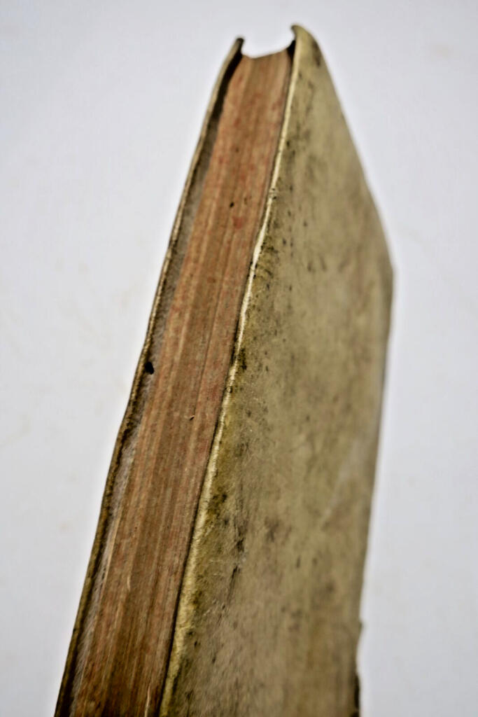 Theologische Bittschrift an Papst Clemens XII zur Unigenitus-Konstitution