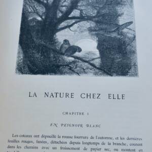 Théophile Gautier eaux-fortes de K. Bodmer La nature chez elle 1870