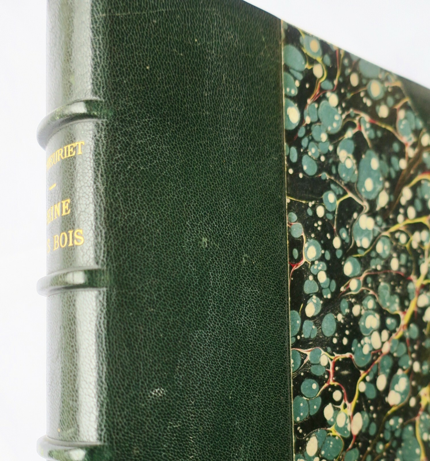 THEURIET Reine des bois. Illustré par H. Laurent-Desrousseaux 1890 - La Librairie Antique