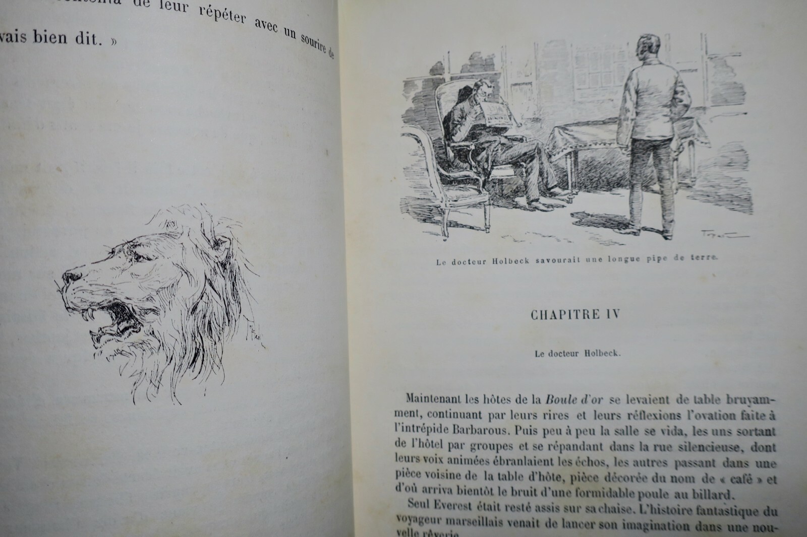 Illustrierte Arbeit über Tiger - Image 7