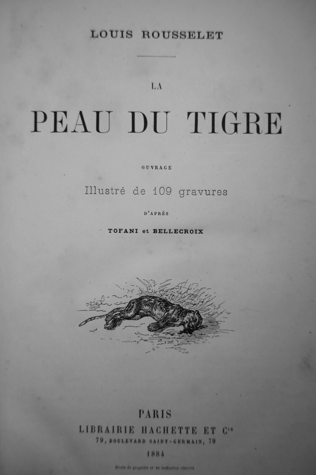 Illustrierte Arbeit über Tiger - Image 9