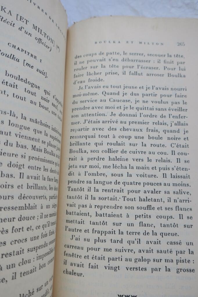Vier Lesebücher - Pädagogische Texte