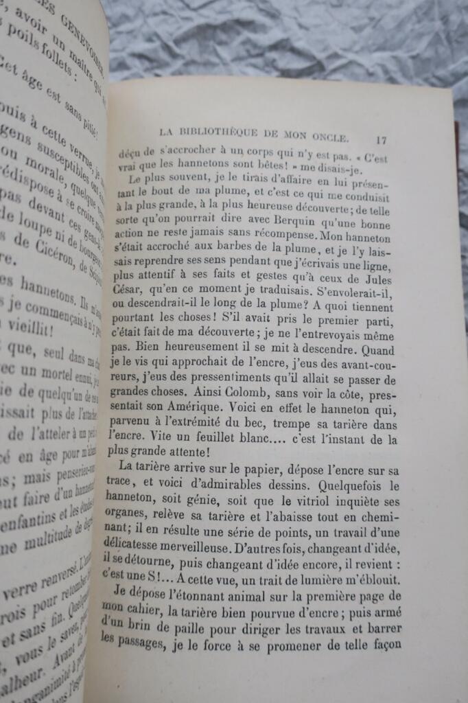 Genfer Erzählungen von Rodolphe Töpffer