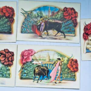 Toros 5 Cards