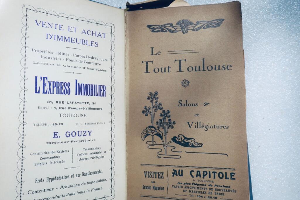 Guide to Toulouse's Palaces and Resorts