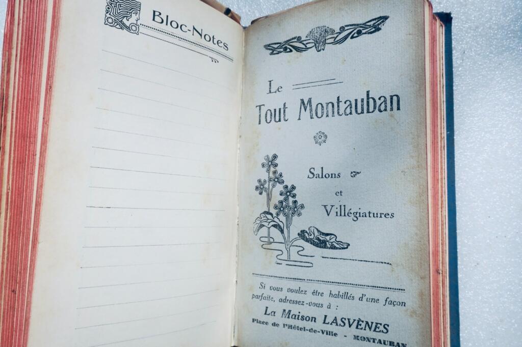 Guide to Toulouse's Palaces and Resorts