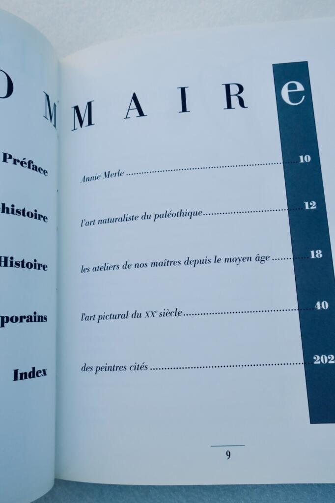 Toulouse peintres de l’école toulousaine – préhistoire, histoire…