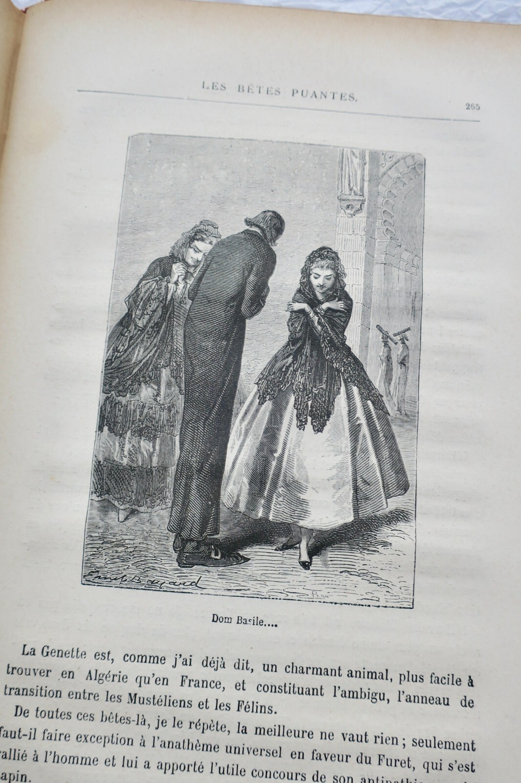 Der Geist der Tiere - Image 4