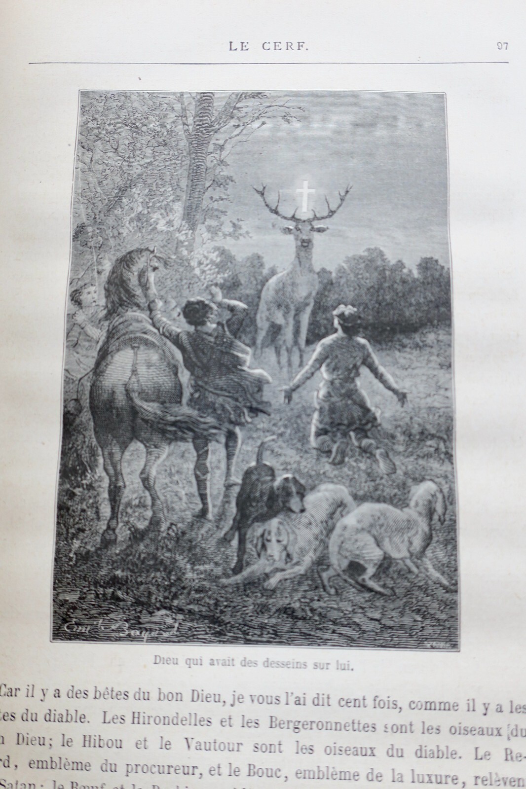 Der Geist der Tiere - Image 6