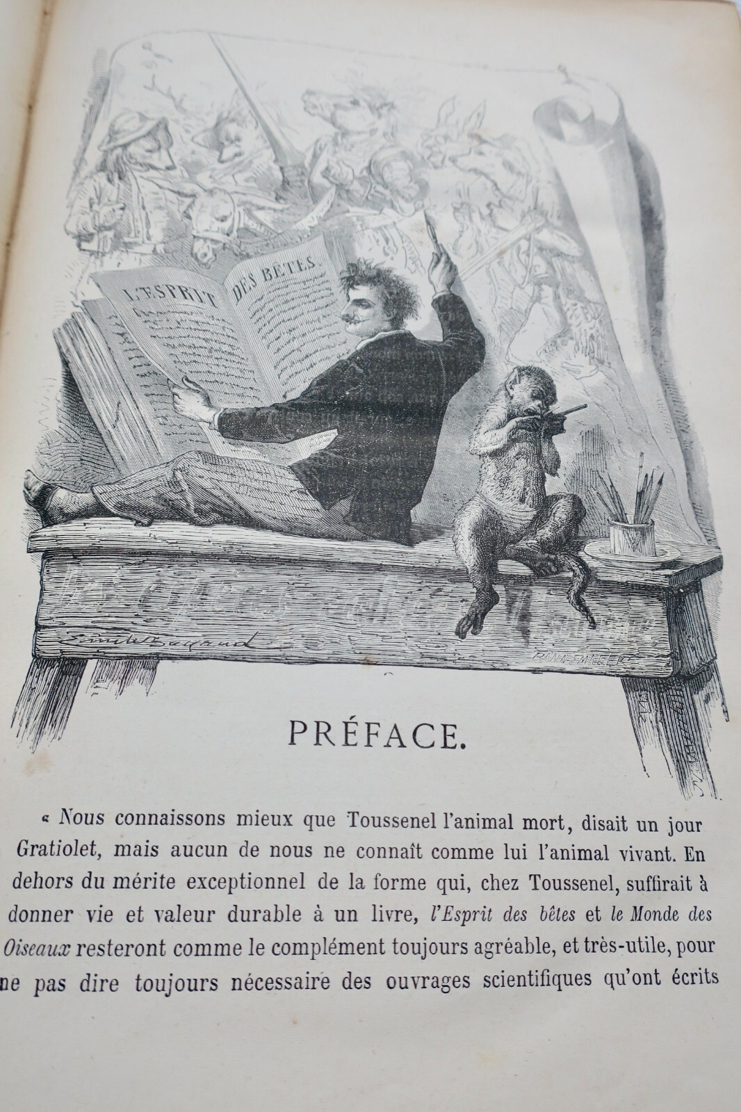 Der Geist der Tiere - Image 10