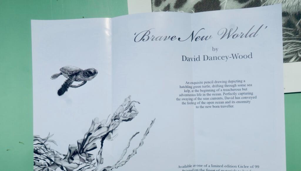 Limited Print by David Dancey-Wood