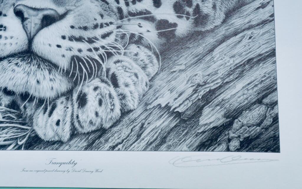 Limited Print by David Dancey-Wood