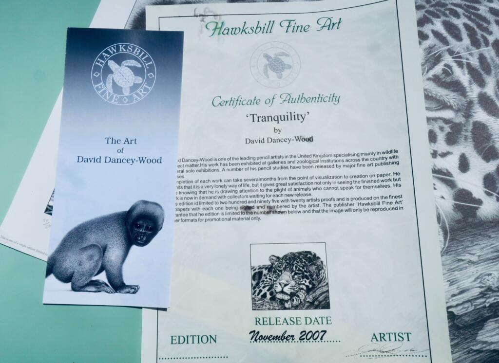 Limited Print by David Dancey-Wood