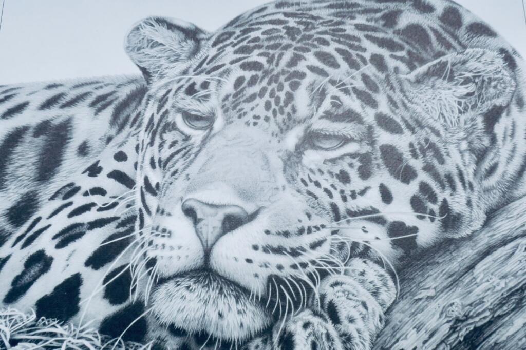 Limited Print by David Dancey-Wood