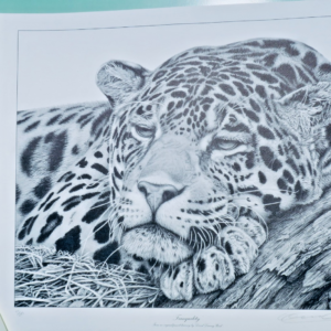 Tranquility – Limited Print By David Dancey-Wood