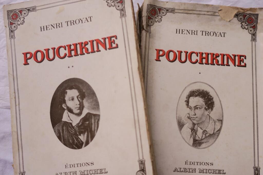 Puschkin - Eine Studie über den russischen Dichter