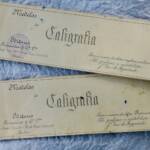 Typographie modelos de caligrafia - La Librairie Antique