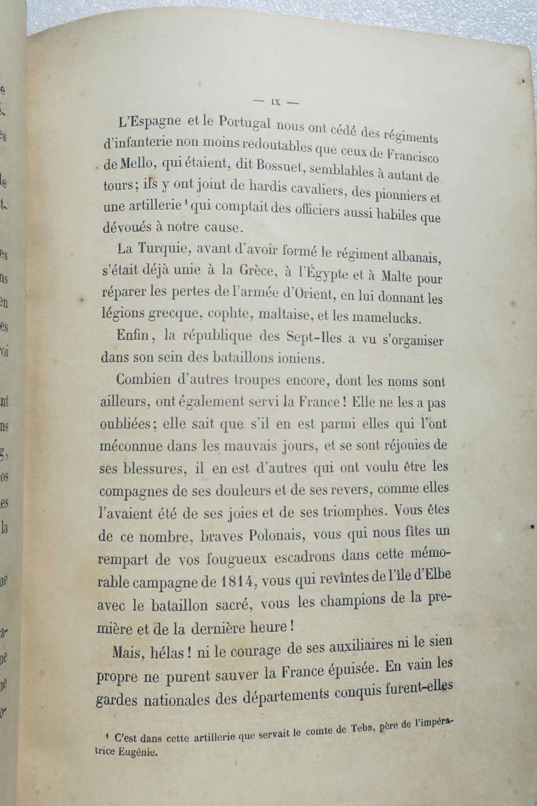 Geschichte der ausländischen Truppen in Frankreich - Image 5