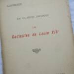 utopiste inconnu. Les Codicilles de Louis XIII
