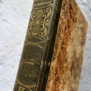 Vache LAFORE Traité des Maladies particulières aux grands Ruminants 1841