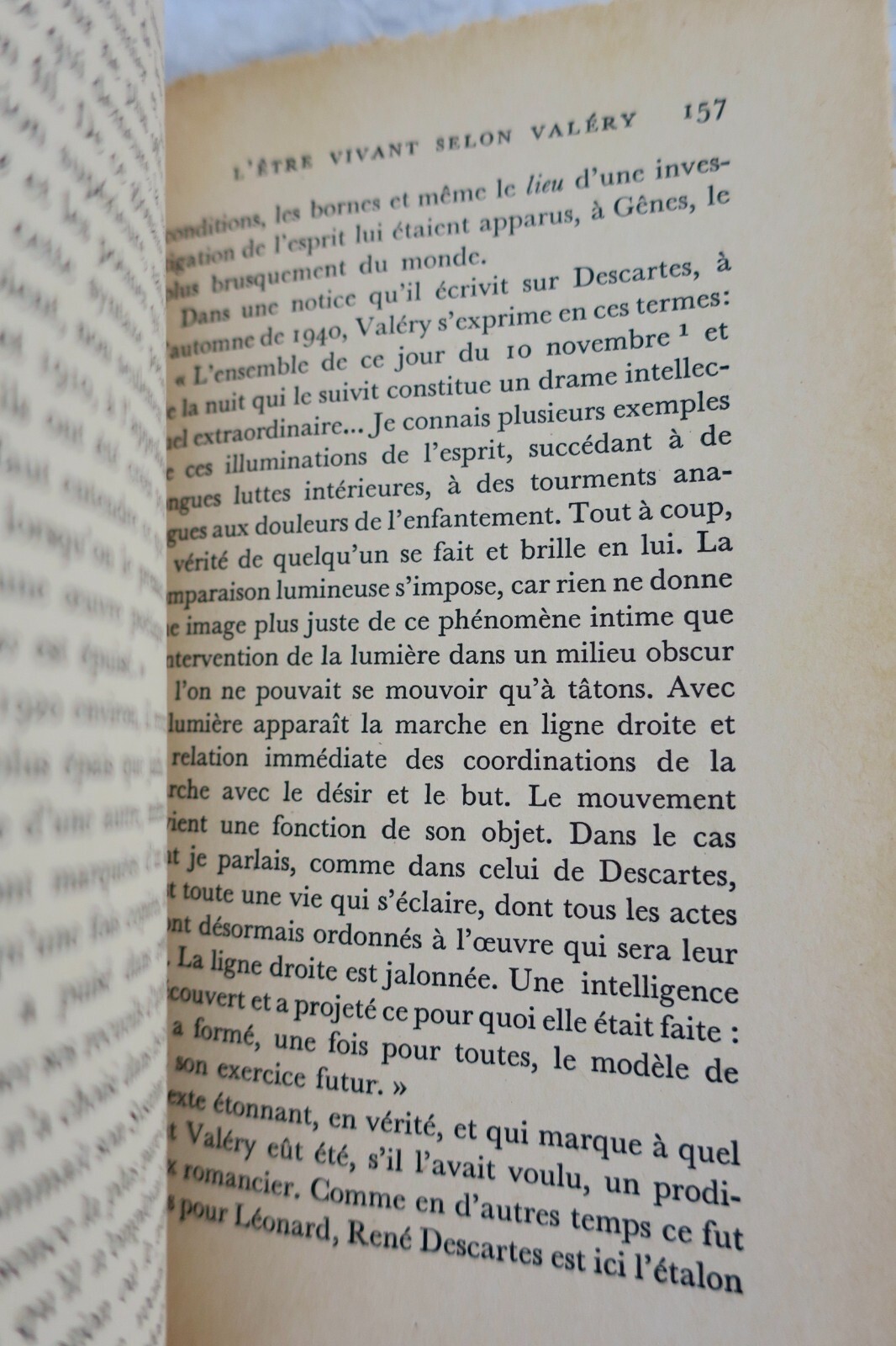 Essays on Paul Valéry and Sensibility - Image 3