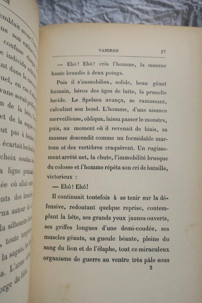 Novel of Primitive Times