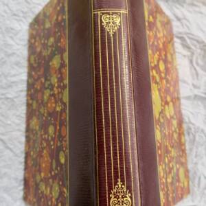 Vamireh : Roman des temps primitifs J. H. Rosny