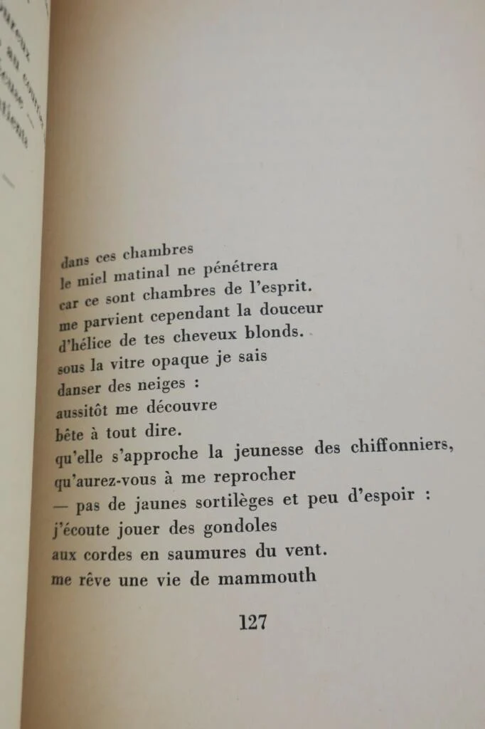 VAN HIRTUM Marianne Les Insolites. Prose & poèmes Gallimard