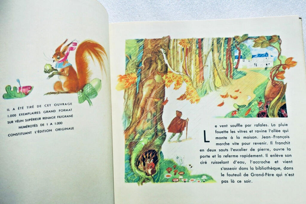 Jean-François Vigil - Illustrated Edition