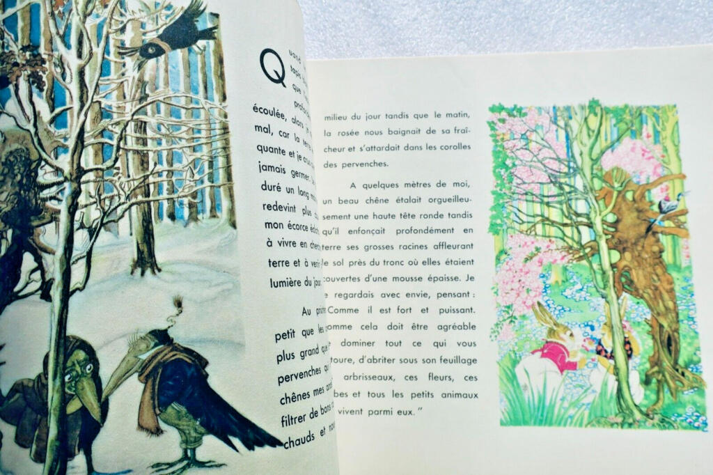 Jean-François Vigil - Illustrated Edition