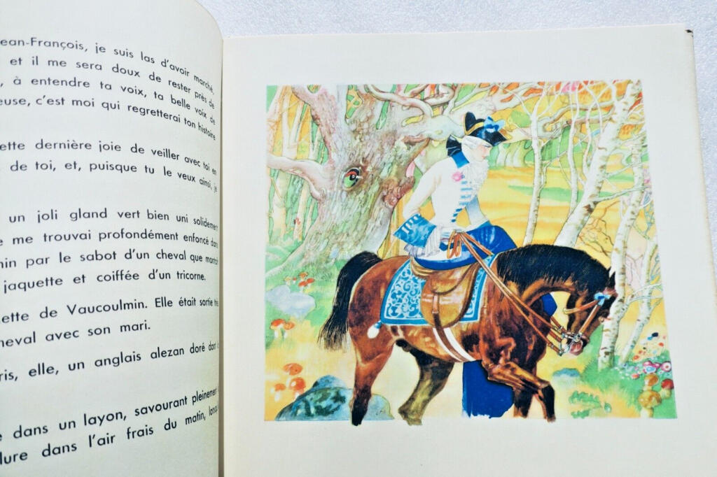 Jean-François Vigil - Illustrated Edition