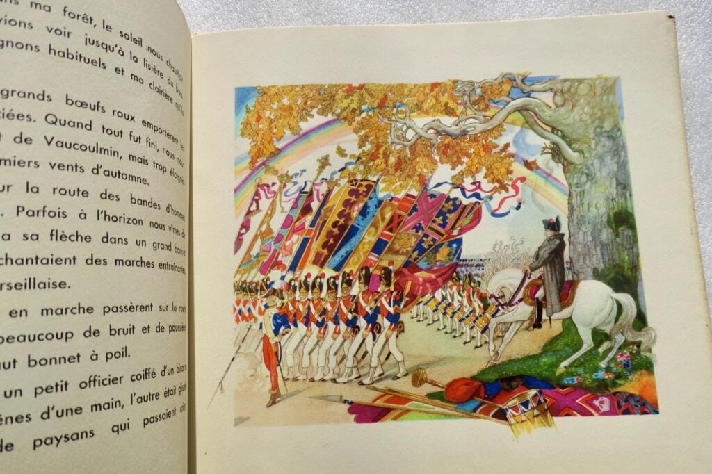 Jean-François Vigil - Illustrated Edition