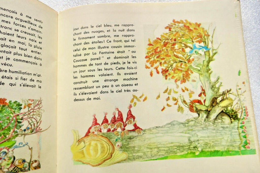 Jean-François Vigil - Illustrated Edition