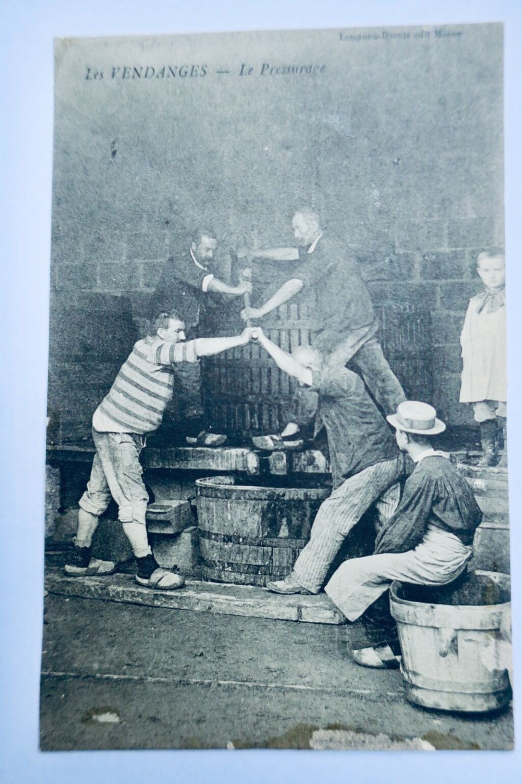 Vintage Pressing Wine
