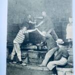 Harvest The Pressing Wine