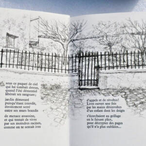 Versailles DESPERT Jehan illustrations de Danièle FUCHS Versailles aux carrés
