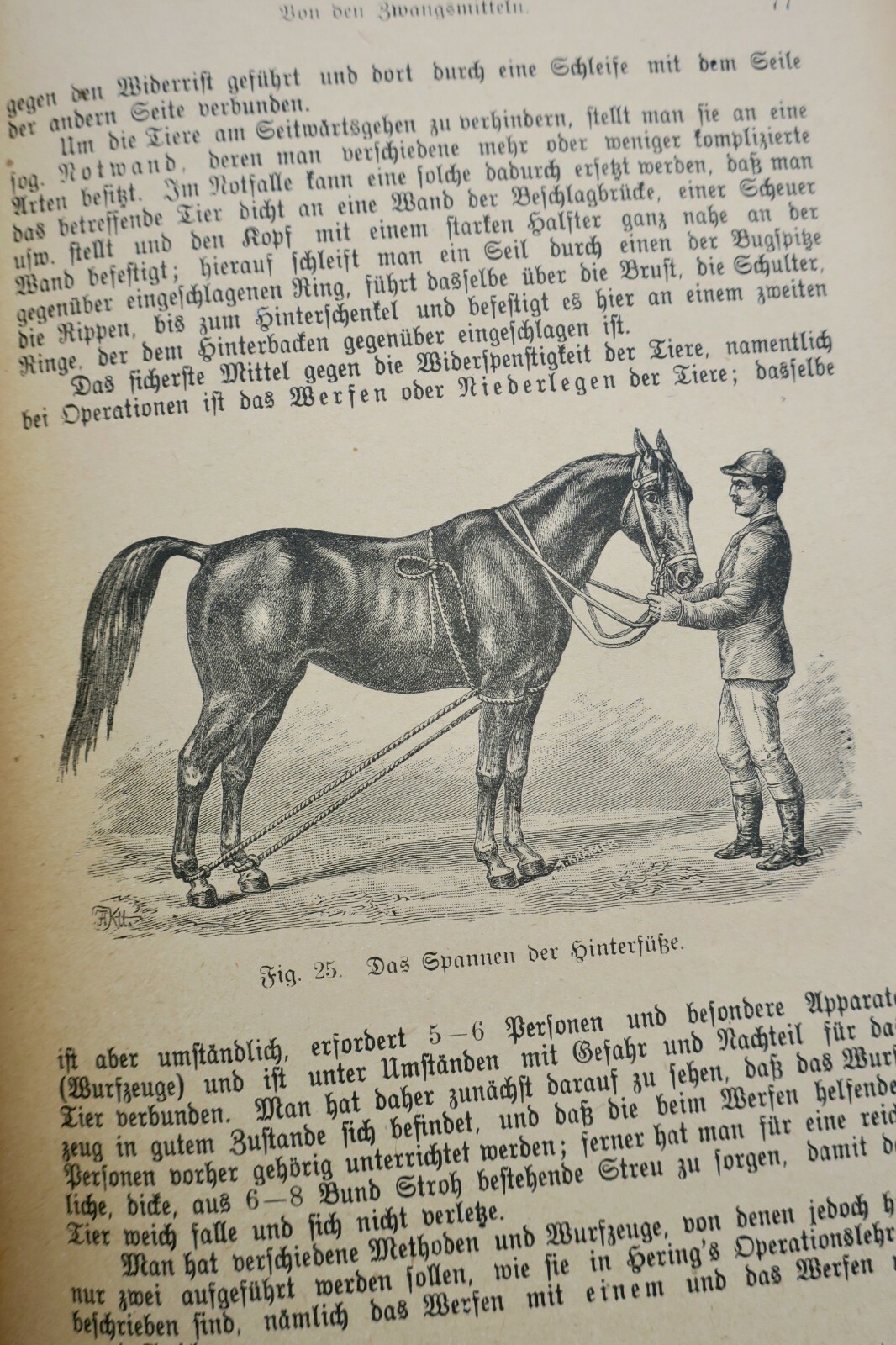 Veterinary guide for farmers and pet owners - Image 4