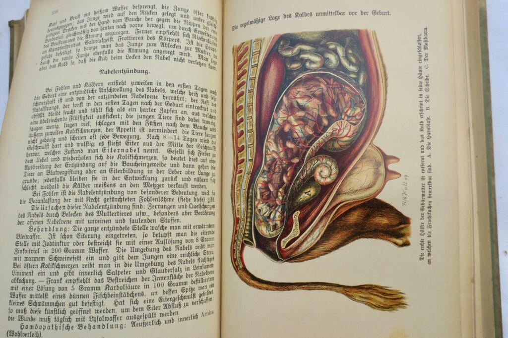 Veterinary guide for farmers and pet owners