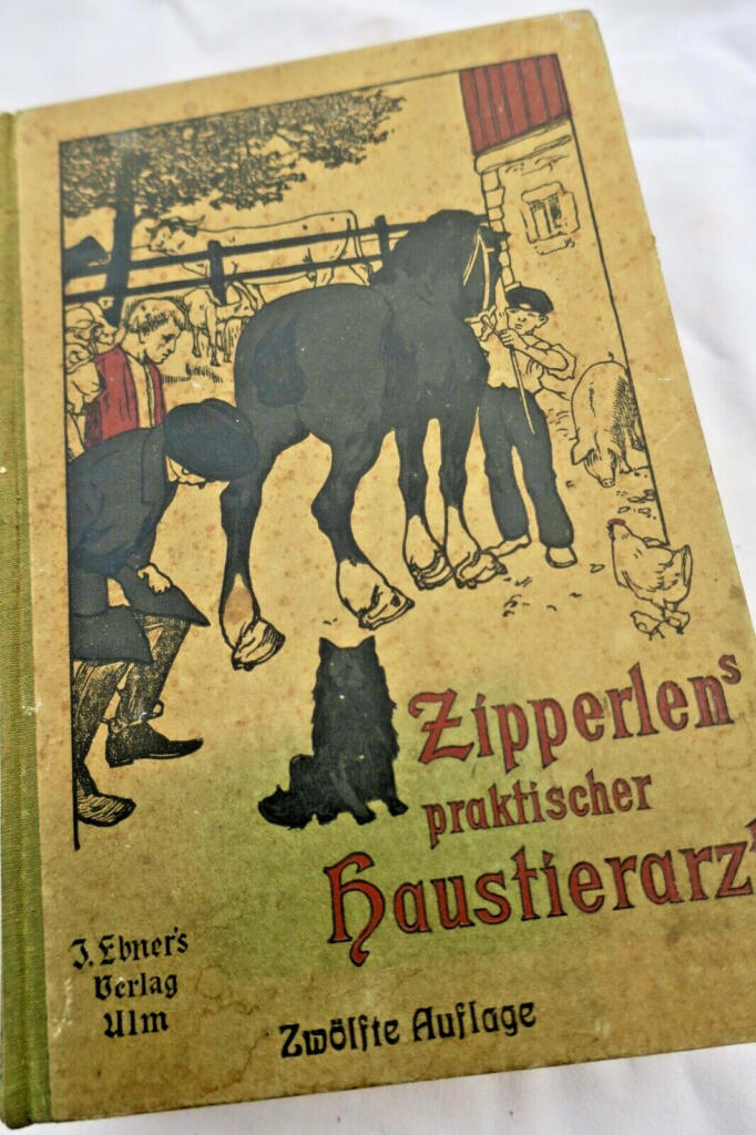 Comprehensive Guide for Pet Care