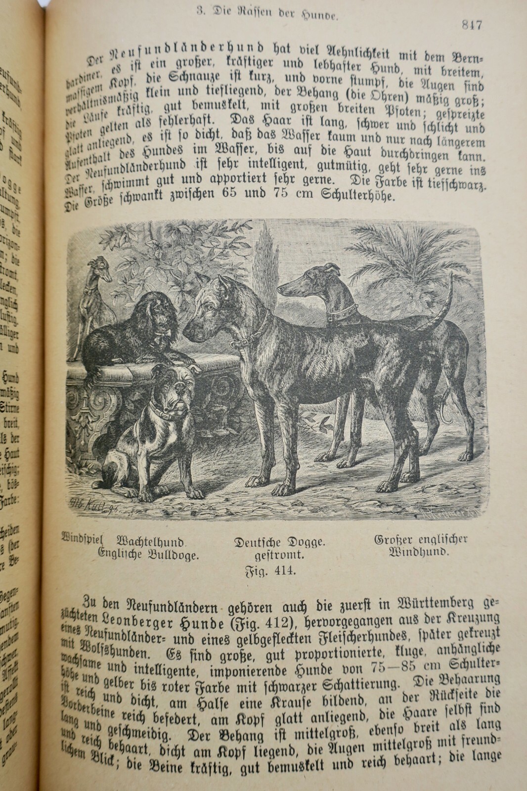 Veterinary guide for farmers and pet owners - Image 5