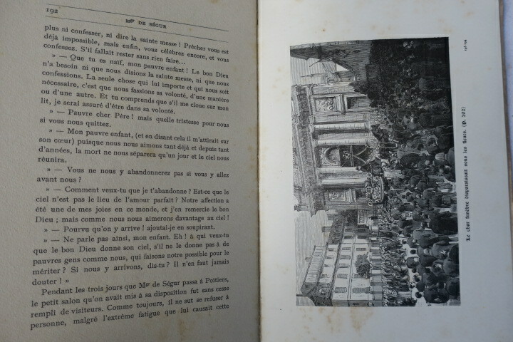 Leben und Werke von Monseigneur de Ségur - Image 6