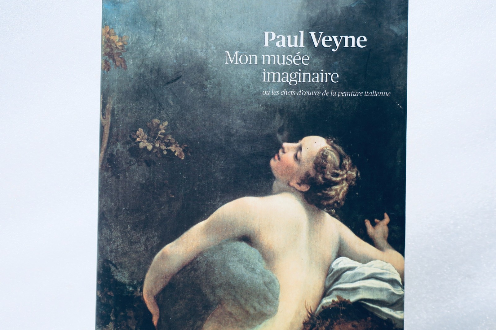 イタリア絵画傑作の想像ミュージアム – Image 13