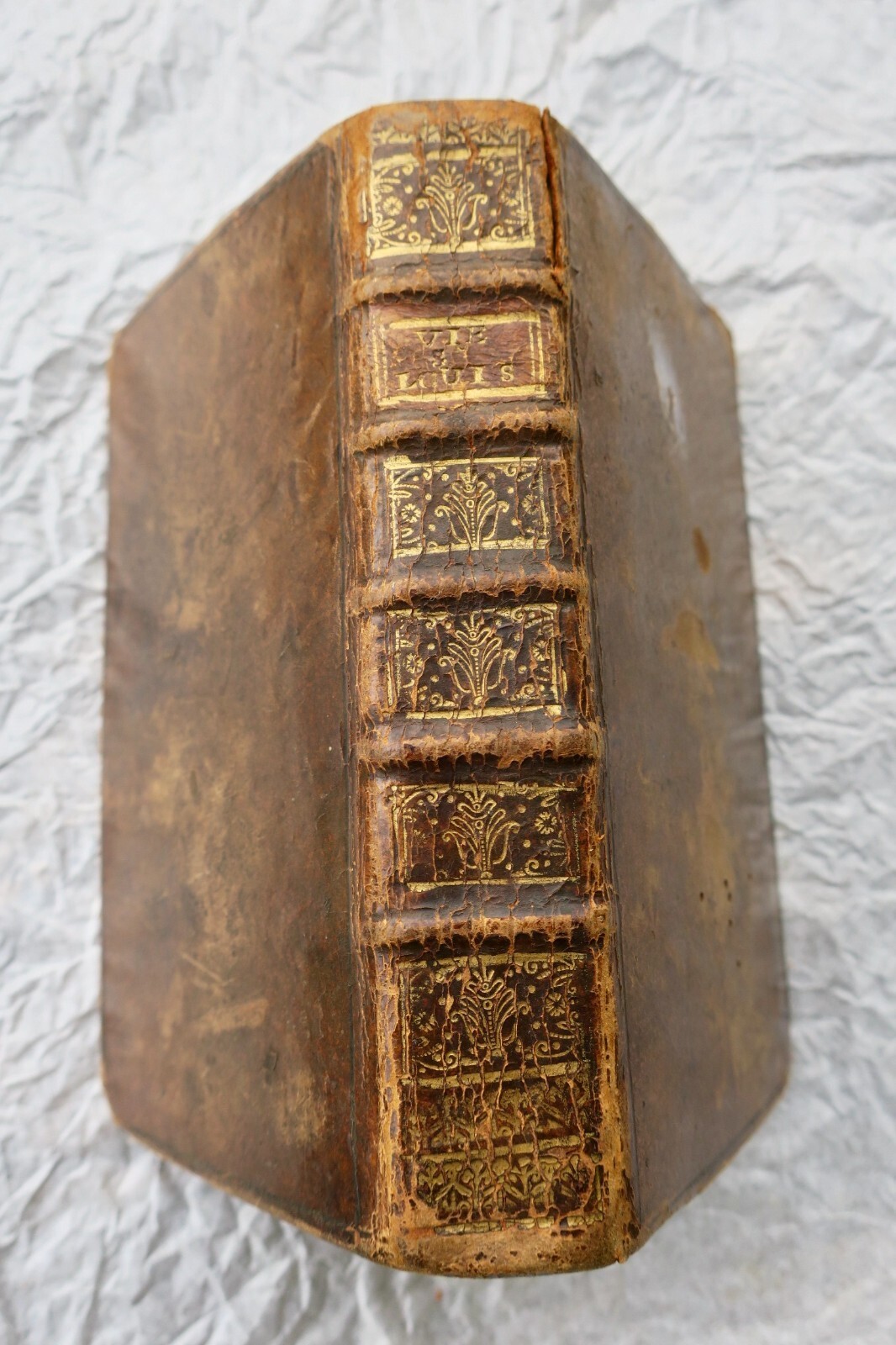 Leben des heiligen Ludwig von Gonzaga von der Gesellschaft Jesu 1727 – Image 7