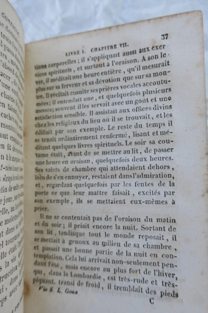 Biografie von St. Louis de Gonzague