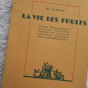 Vie des fruits, origine, développement, structure, physiologique...