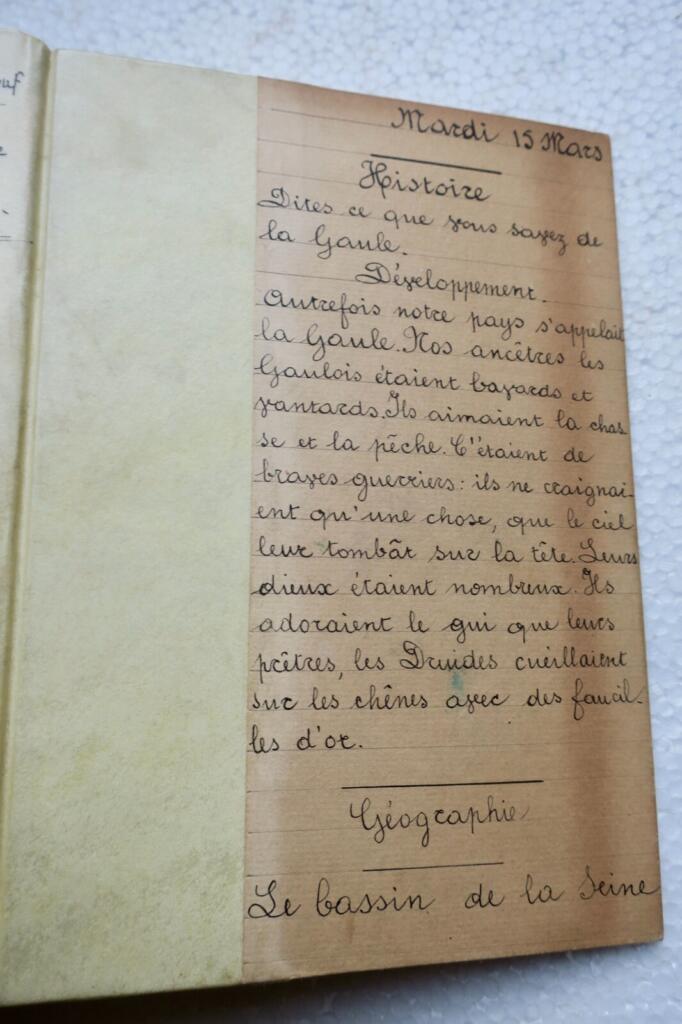 French History Chronicle