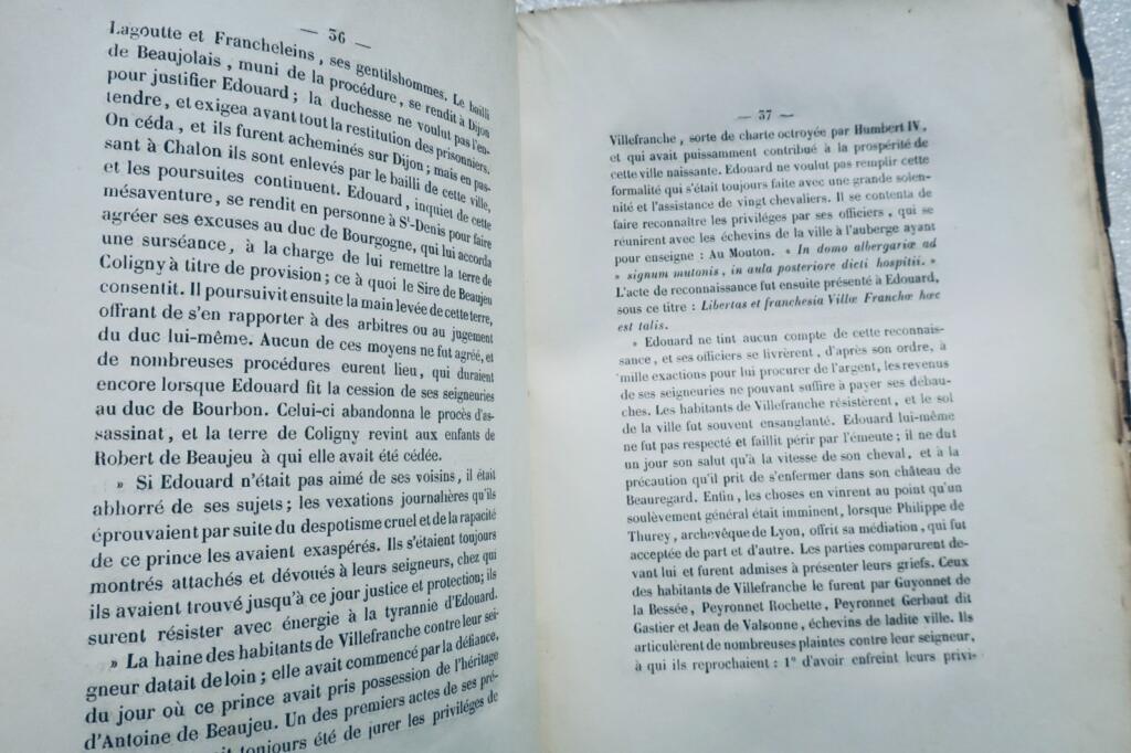 Villefranche, Hauptstadt des Beaujolais, LAPLATTE. Volksgeschichte von..1863